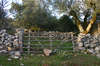 stone walls
