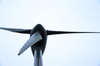 green energy, 4