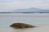 Beach, ocean & rocks 4