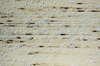 Vaulted roof 3