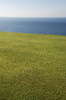Natural flag 2