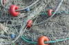 Net jam 1