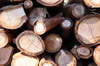 Wood texture