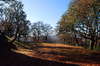 Autumn landscape