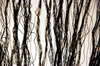 blurred black fiber