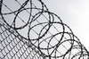Wire fenced detail 1