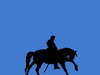 Soldier & horse