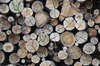 Woodpile