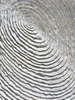 Spiral