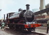 Lion & old saddle tank