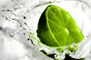 Lime Light