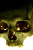 Skull 02