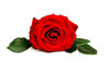 Valentines