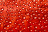 Rain drops