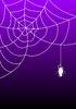 Spider web