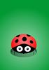 Ladybird