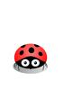 Ladybird
