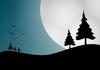 Christmastrees at night