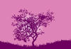 Tree silhouette