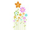 Colorful flowers