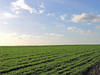 landscape 3