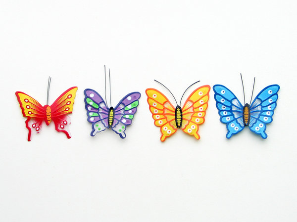 Free Stock Photos Rgbstock Free Stock Images Butterfly Jazza 