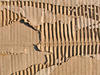 cardboard