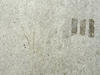 concrete