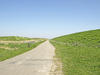 dutch landscape
