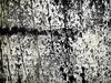 grunge