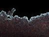 winter texture