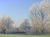 winter landscape