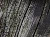 old wood