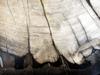 texture