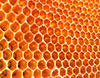 Honey Comb