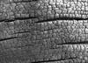 Charcoal texture