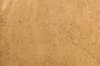 Moldy Paper Texture