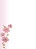 Flower borders 1