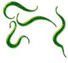 Decorative little snake-like s