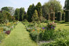English garden