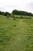 Country footpath