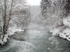 winter morning 1