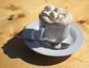 early cappuccino