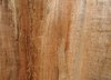 wood texture