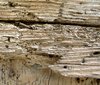 old wood 1