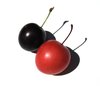 plums 3
