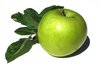apples 4