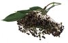 elder berries