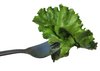 lettuce leaf 1