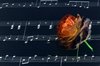 goodbye song